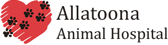 Allatoona Animal Hospital