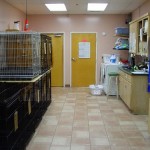 Kennel management area and boarding for pets with special needs